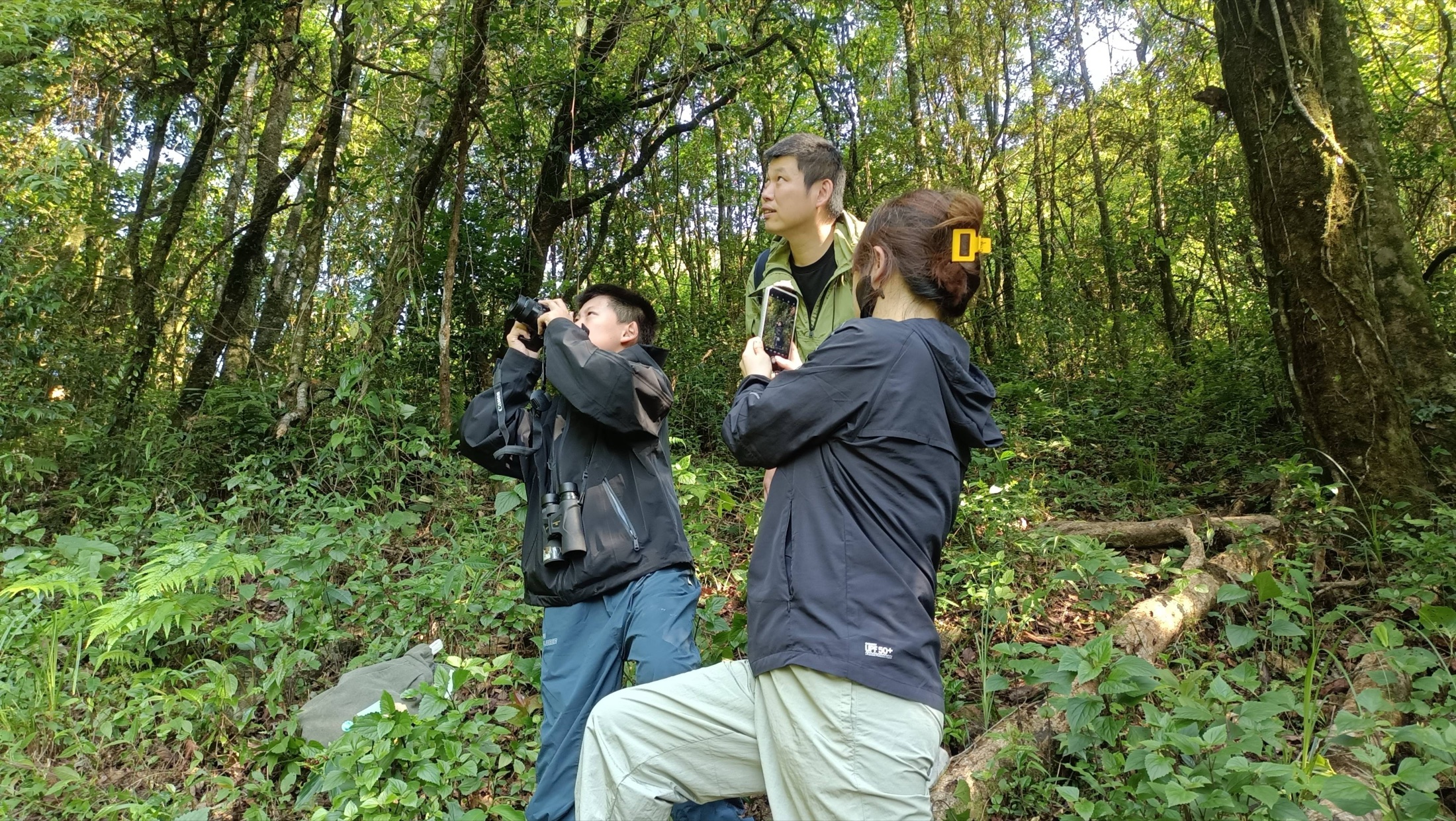 A local field guide helping travelers observe wildlife in Gaoligong forest